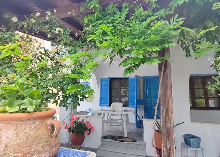House Sofia Milies