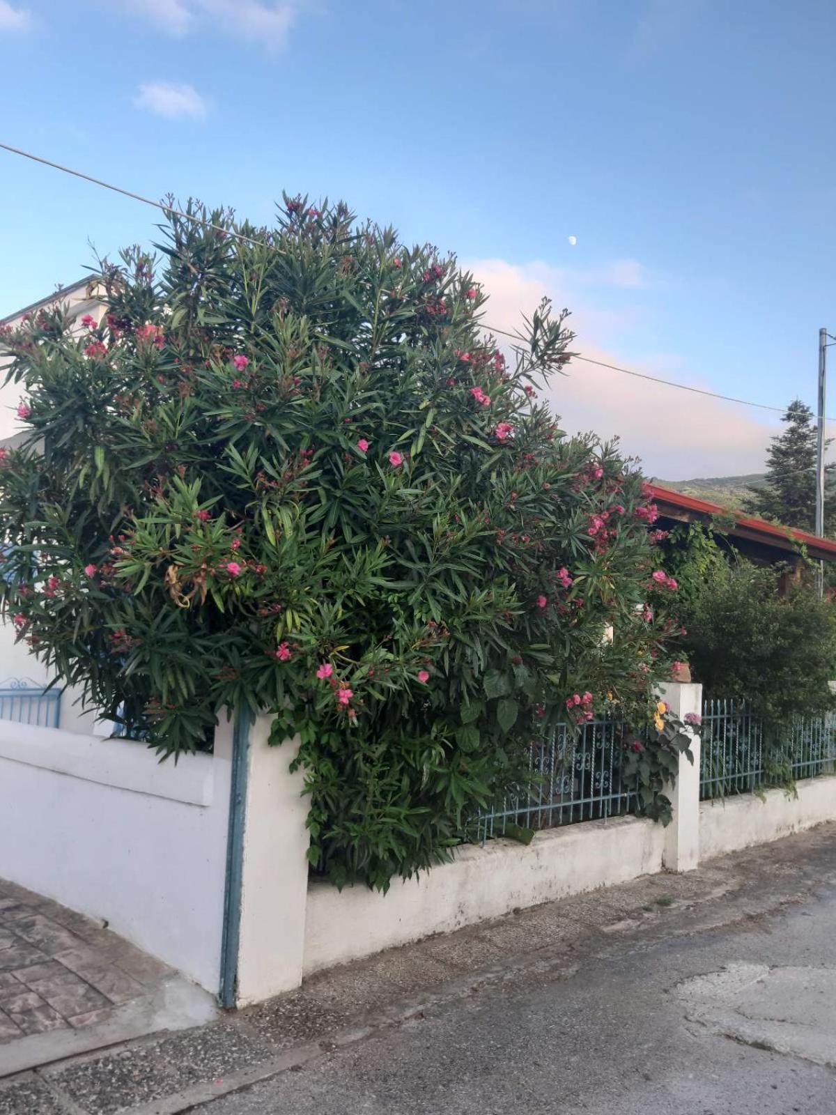 Villa House Sofia Milies Stavros (Thessaloniki)