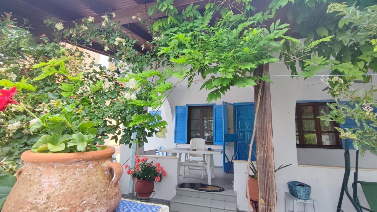 Villa House Sofia Milies *