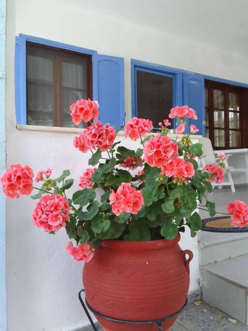 House Sofia Milies * Stavros (Thessaloniki)