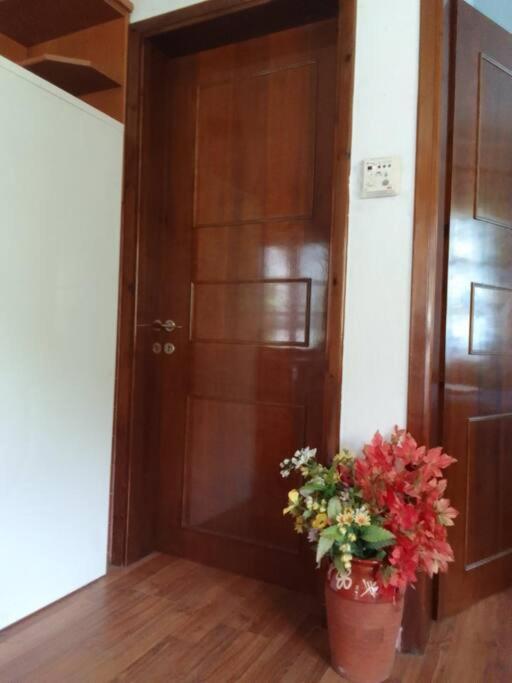House Sofia Milies *